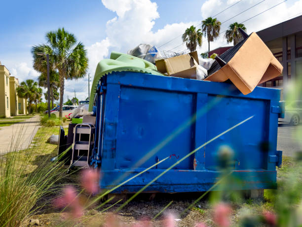 Best Yard Cleanup Services  in Pine Valley, CA